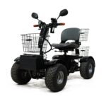 Cheetah Ninja with free front & rear baskets front view