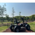 Cheetah Ninja Live Image