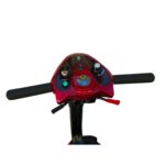 EV Rider Transport Plus Controller